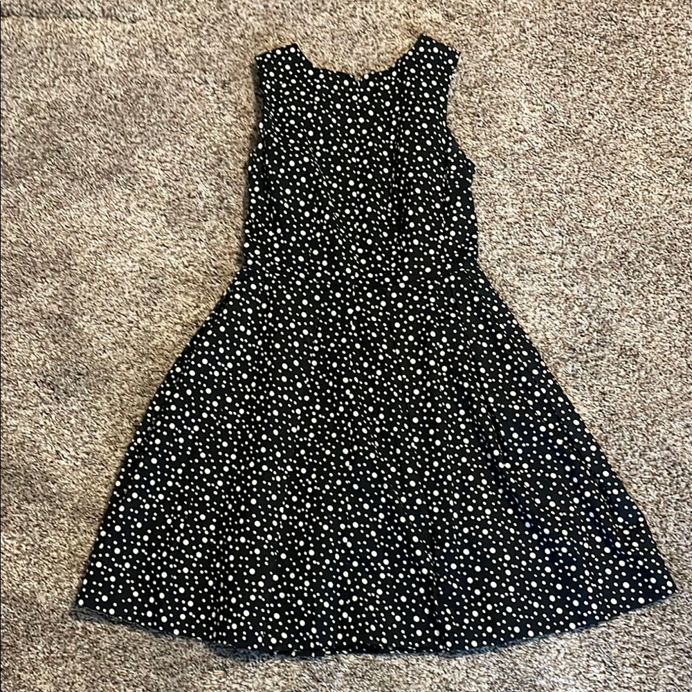 The Limited Black and White Polka Dot Fit and Flare Dress